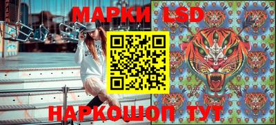 крисы Малгобек