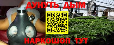 a pvp Моздок